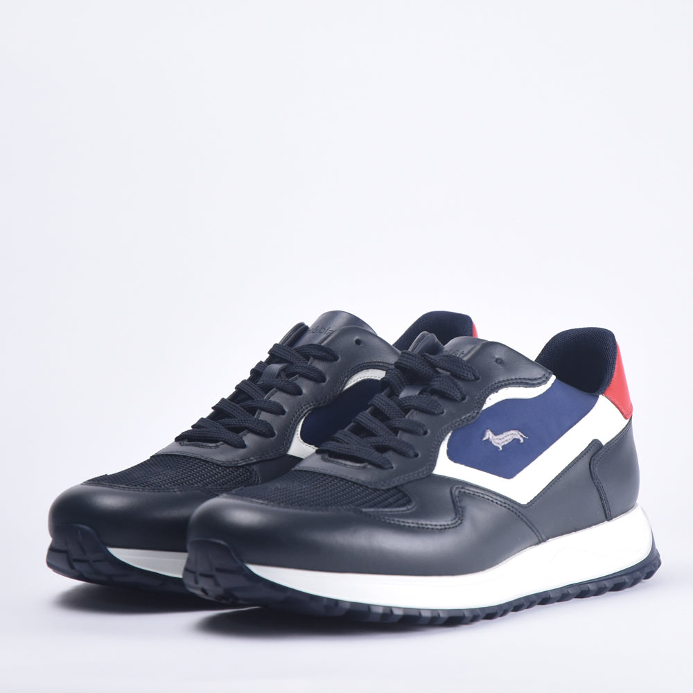 HARMONT AND BLAINE SCARPA UOMO CALF  BLU EFM231-079-6190