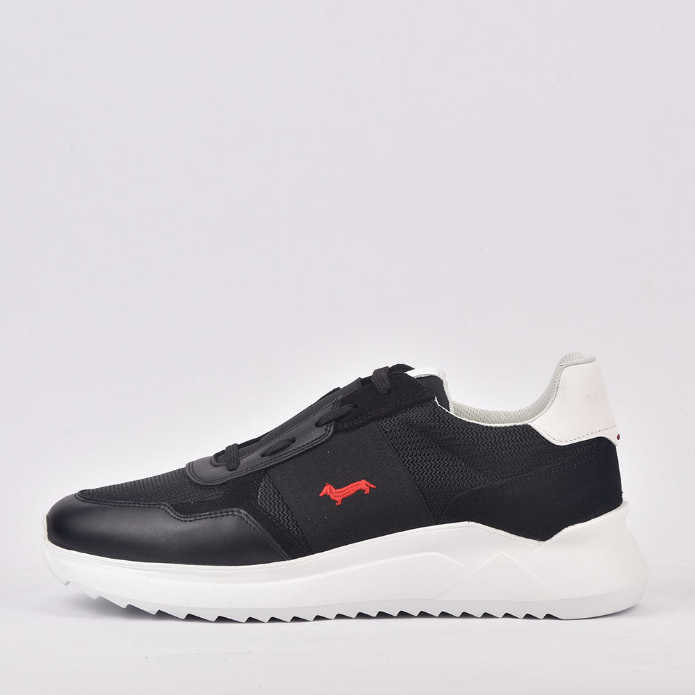 HARMONT AND BLAINE SCARPA UOMO CALF NERO EFM231-062-6250