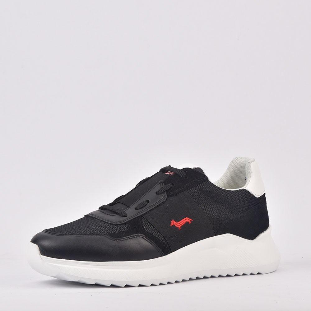 HARMONT AND BLAINE SCARPA UOMO CALF NERO EFM231-062-6250