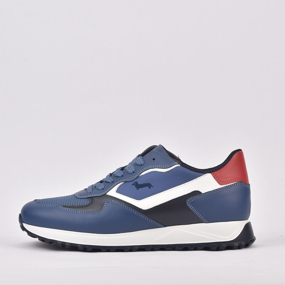 HARMONT AND BLAINE SCARPA UOMO CALF AZZURRO EFM231-079-6470