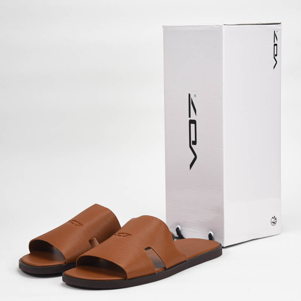 VO7 Sahara — Mules camel