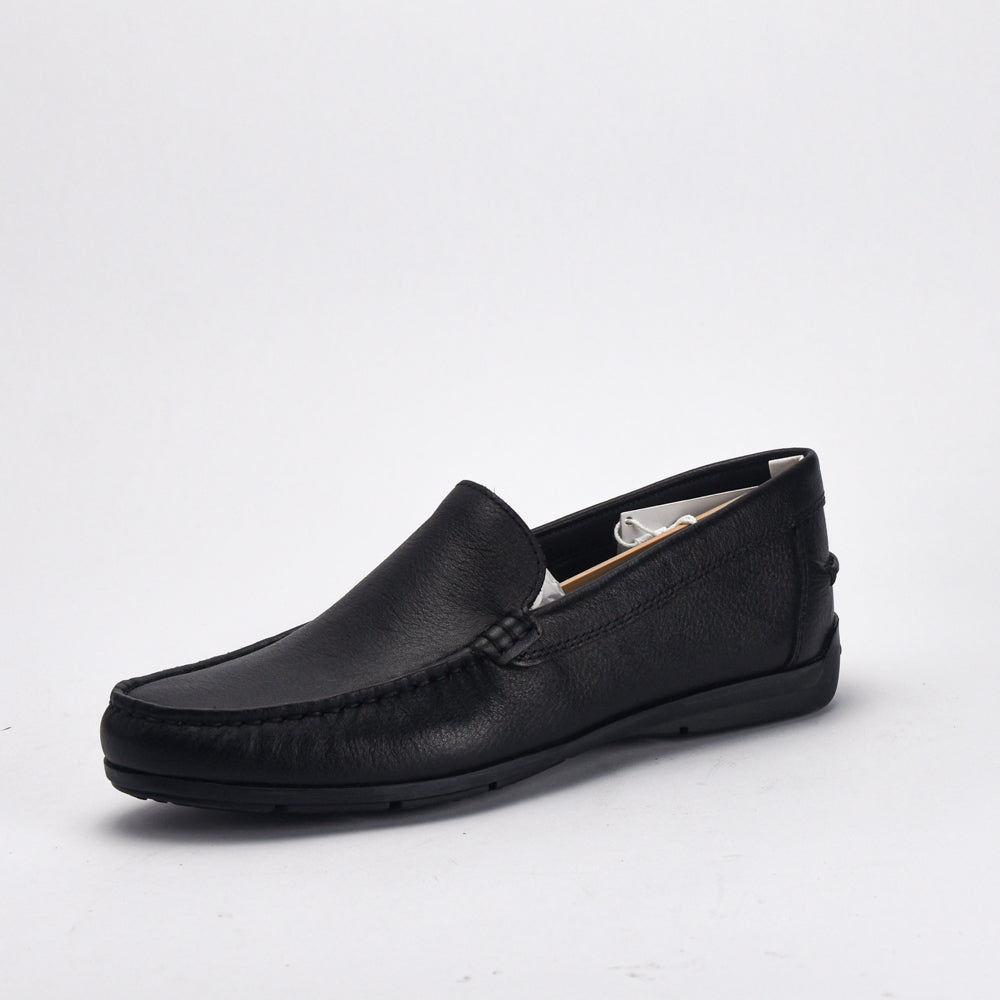 GEGEGEOX U SIRON A - PRINT.LEA \ U55Q3A00047-C9999