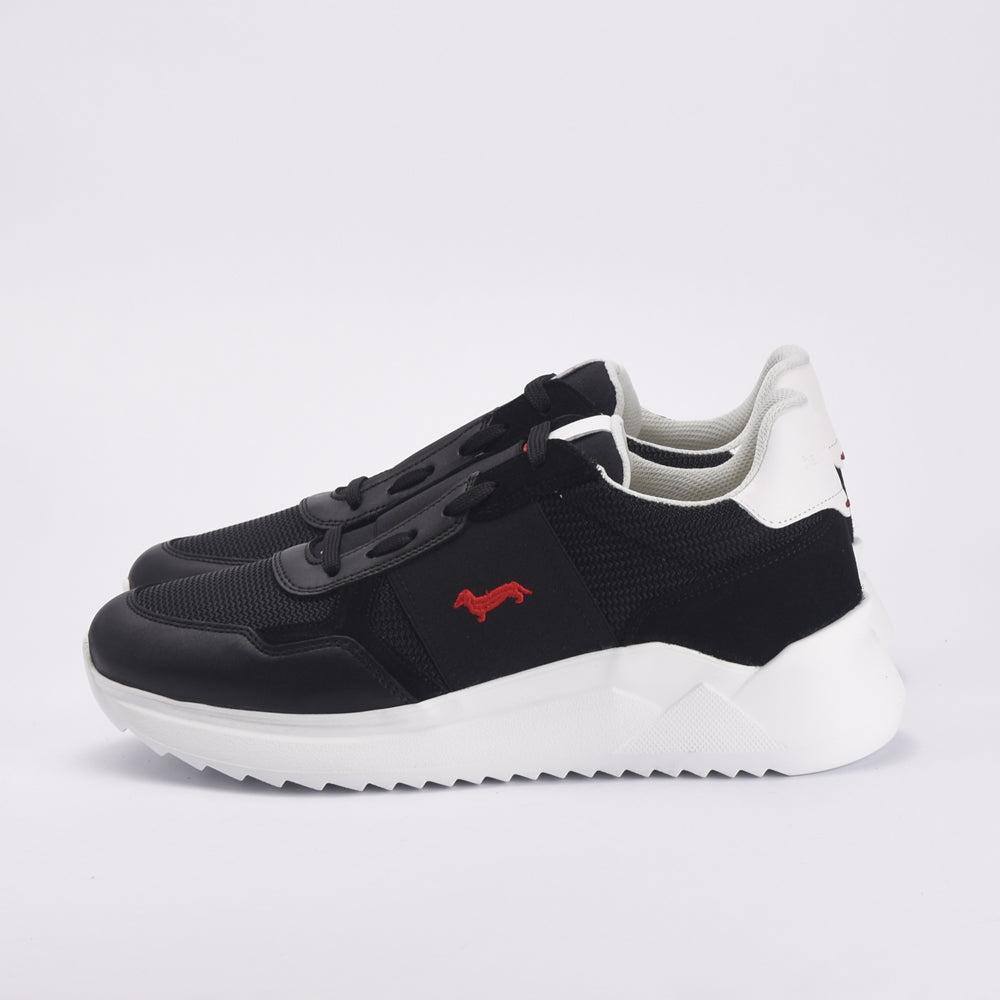 HARMONT AND BLAINE SCARPA UOMO CALF NERO EFM231-062-6250