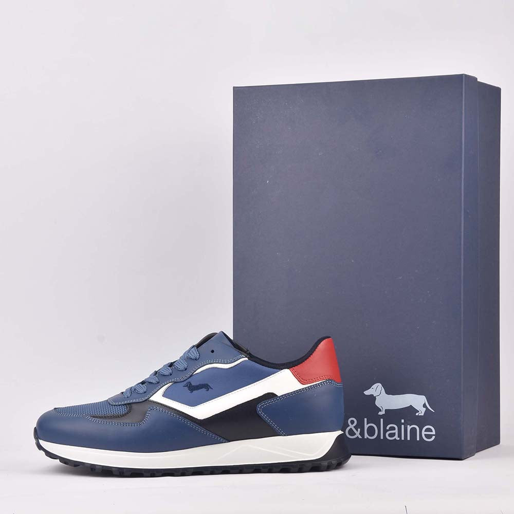 HARMONT AND BLAINE SCARPA UOMO CALF AZZURRO EFM231-079-6470