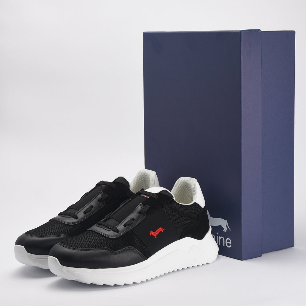 HARMONT AND BLAINE SCARPA UOMO CALF NERO EFM231-062-6250