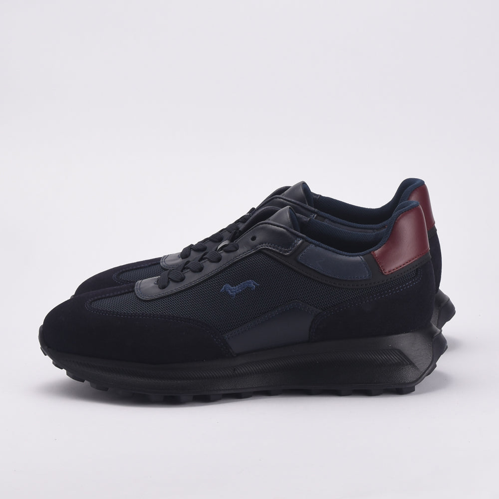 HARMONT AND BLAINE EFM242.091.6270