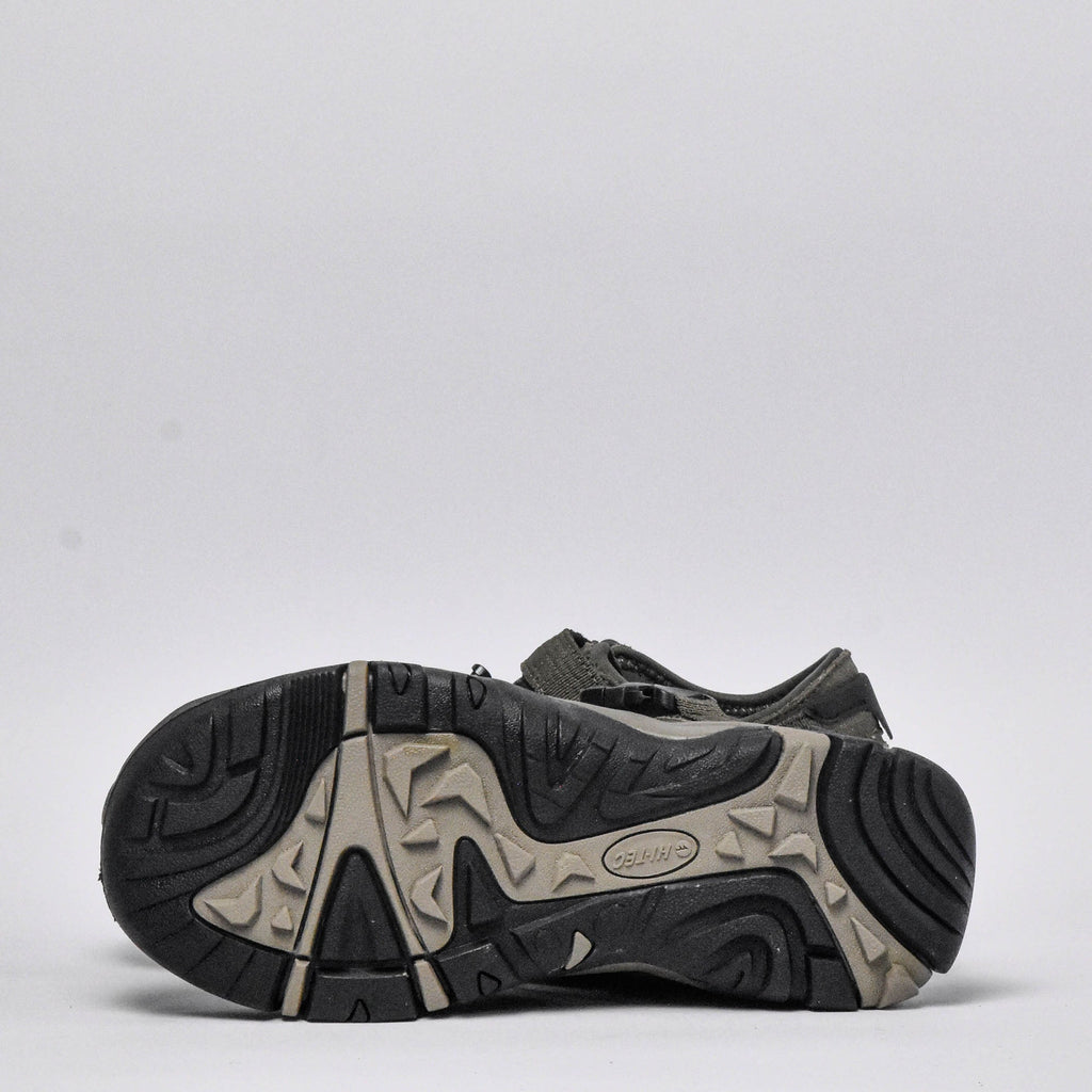 Shaol Bay Sea Turtle-Taupe  O014424