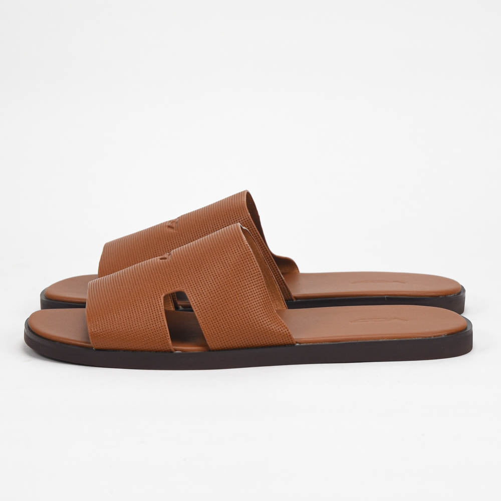 VO7 Sahara — Mules camel