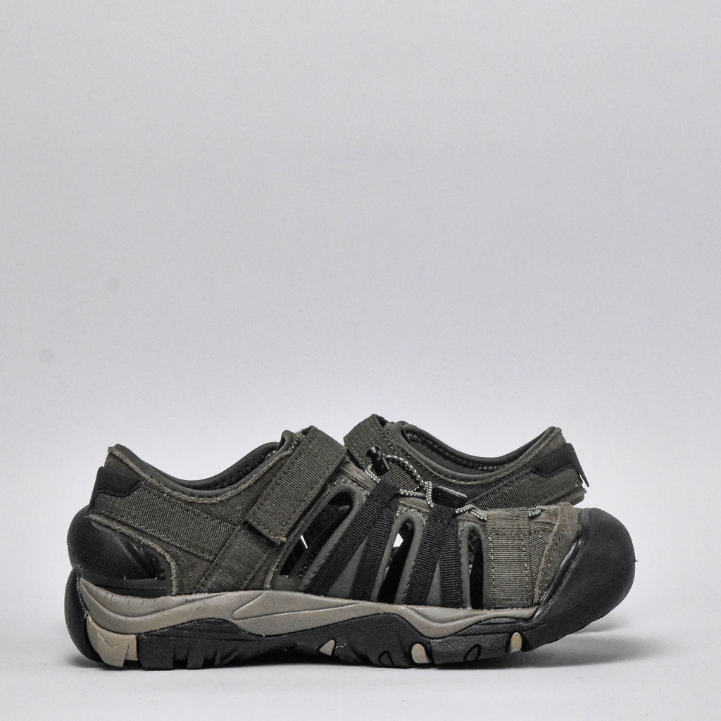 Shaol Bay Sea Turtle-Taupe  O014424