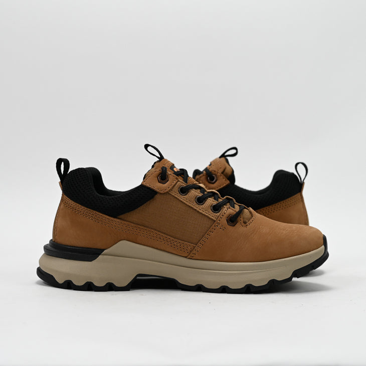 Baskets CAT Colorado Sneaker Lo Marron Homme P725996