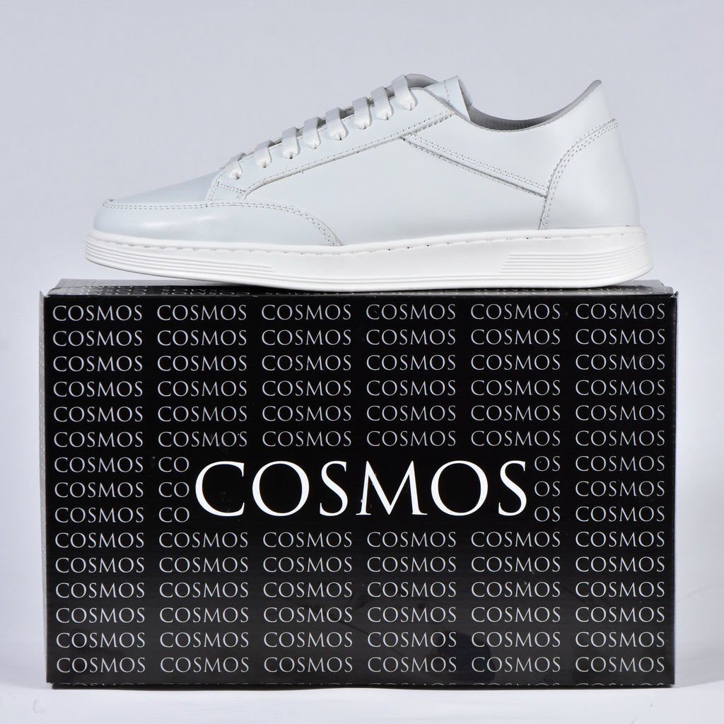 COSMOS - SONIC BLANCHE