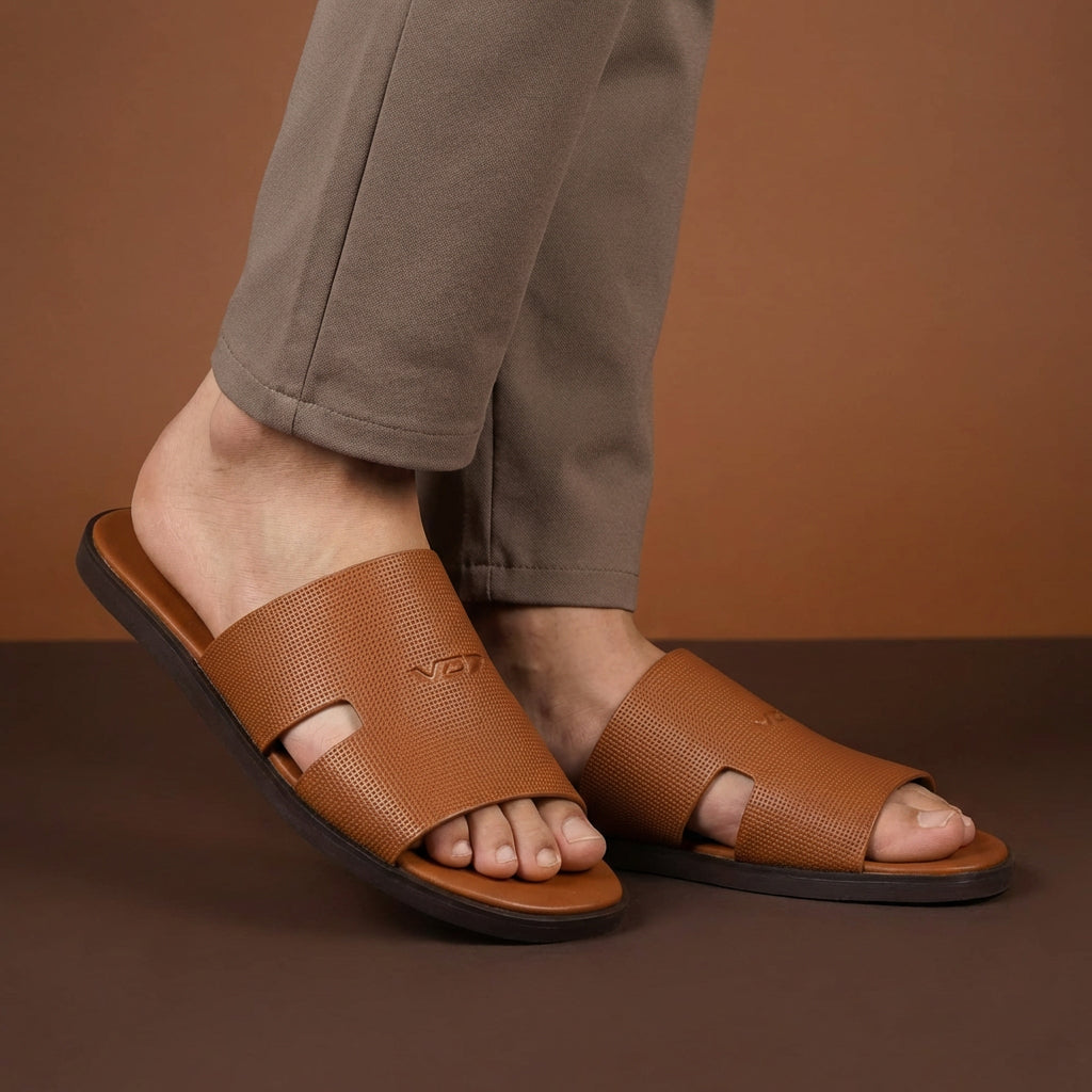 VO7 Sahara — Mules camel