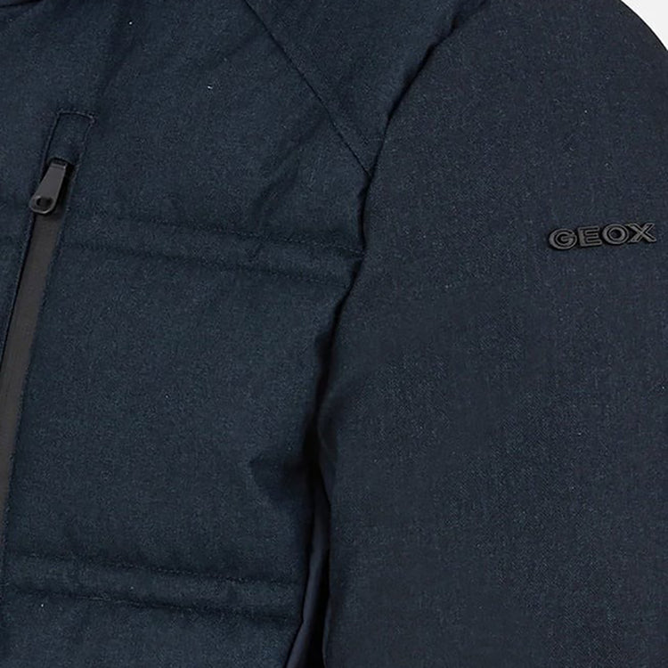 Veste GEOX HOMME