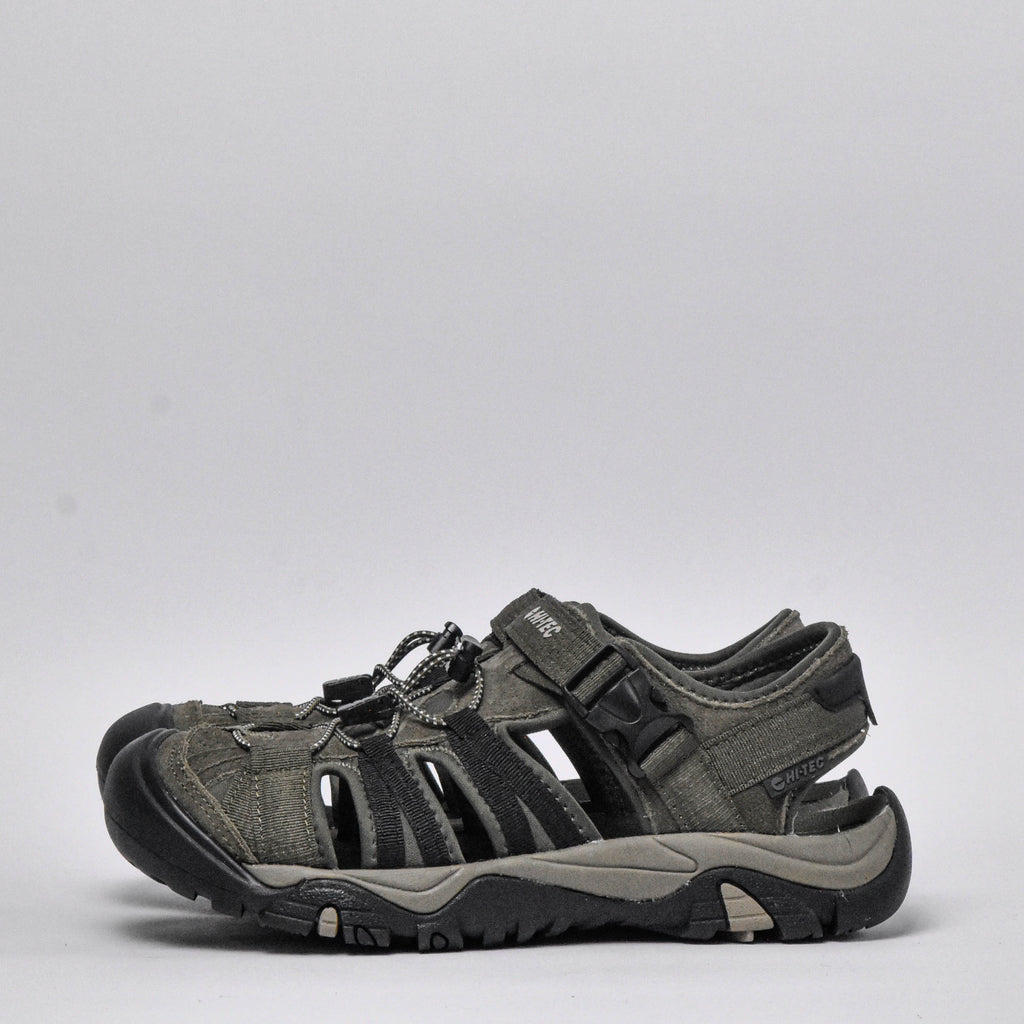Shaol Bay Sea Turtle-Taupe  O014424